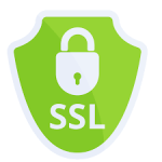 SSL in Web Hosting: Is It Really Mandatory for Your Website?